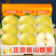 【推荐】陕西酥梨/砀山酥梨/产地货源/供应市场/一件代发