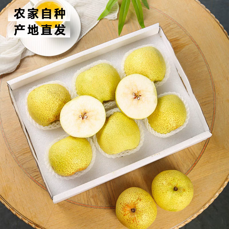【一件代发】蒲城酥梨/砀山酥梨/定制包装/供应市场电商