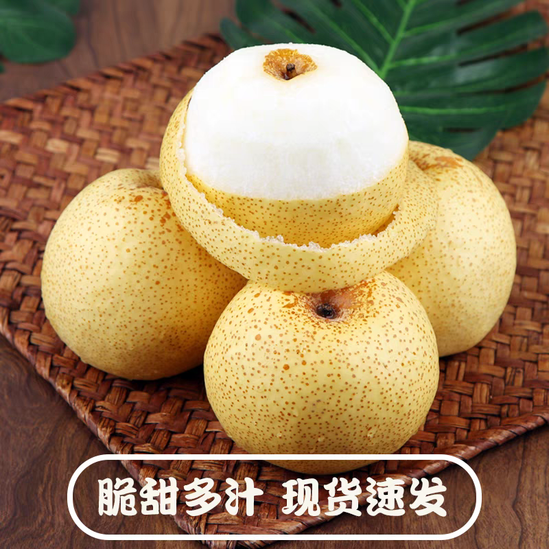 【优选】陕西酥梨/蒲城酥梨/产地货源/供应市场/一件代发