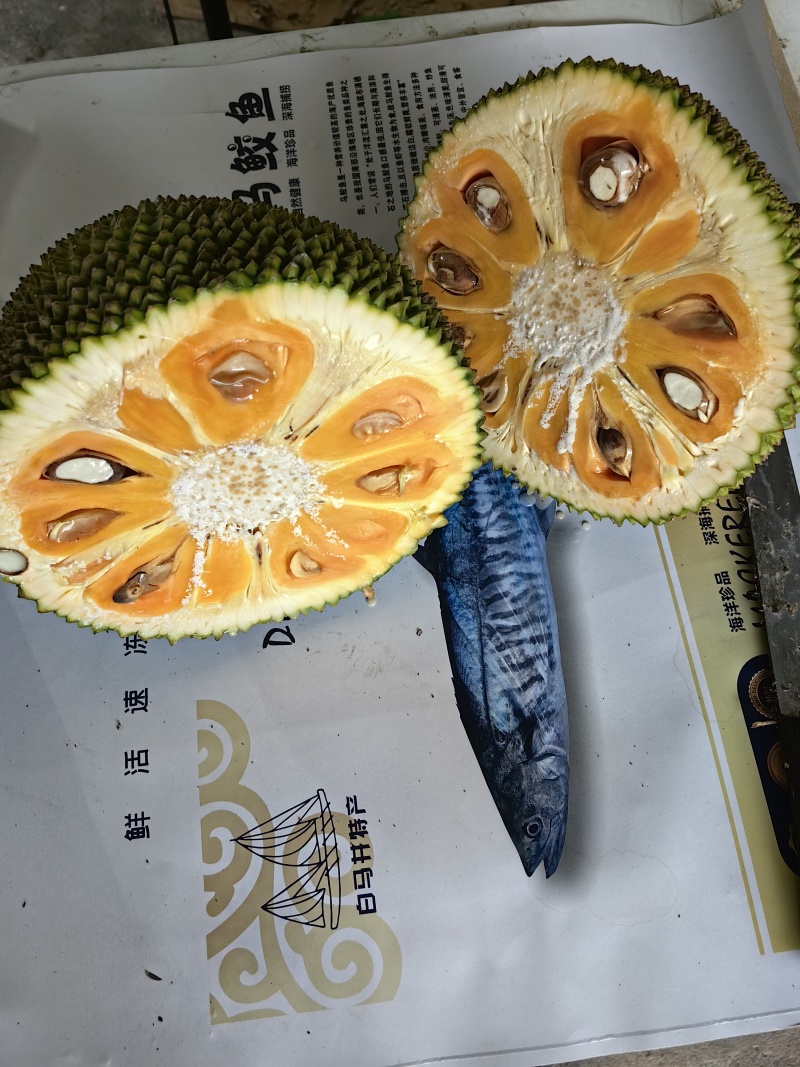 海南保亭黄肉菠萝蜜，红肉菠萝蜜批发代发代办