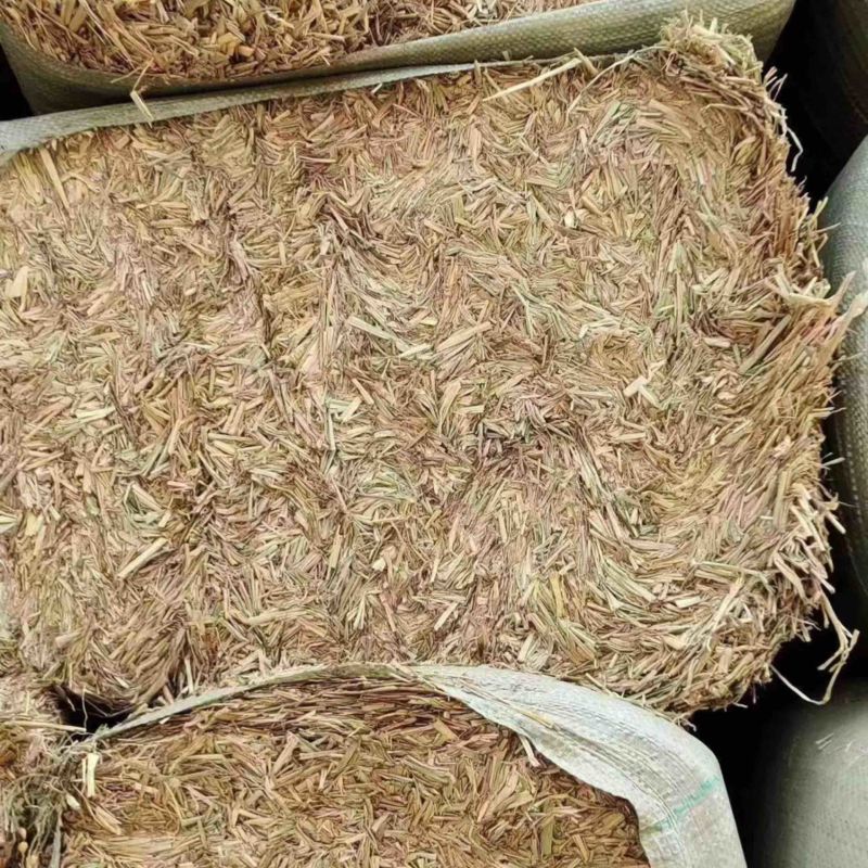 【优选】揉丝稻草--工厂直销-价格优惠-可对接基地