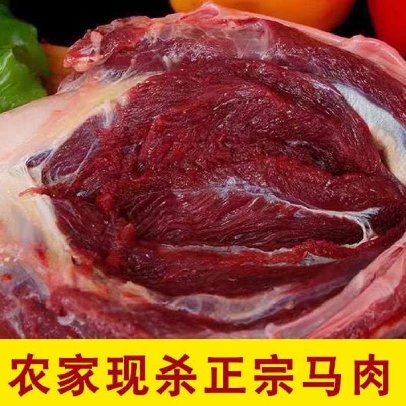 【正宗】新疆民家马肉肋条腿肉量大从优保质保量全
