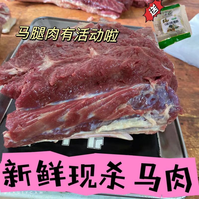 【正宗】新疆民家马肉肋条腿肉量大从优保质保量全