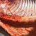 【正宗】新疆民家马肉肋条腿肉量大从优保质保量全