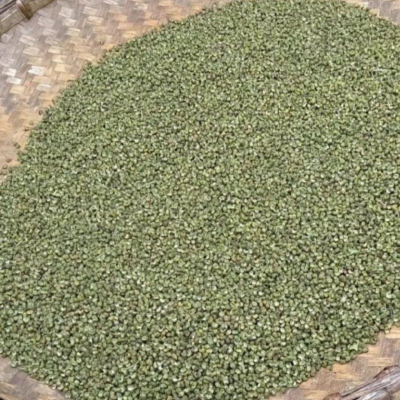 正宗的金阳县青花椒