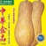 中华金品蜜本南瓜种口感瓜肉橙红色产量高亩苗350棵甜，甜
