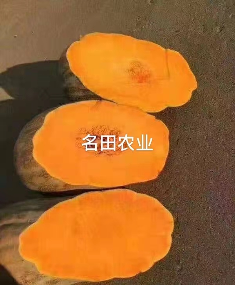 中华金品蜜本南瓜种口感瓜肉橙红色产量高亩苗350棵甜，甜