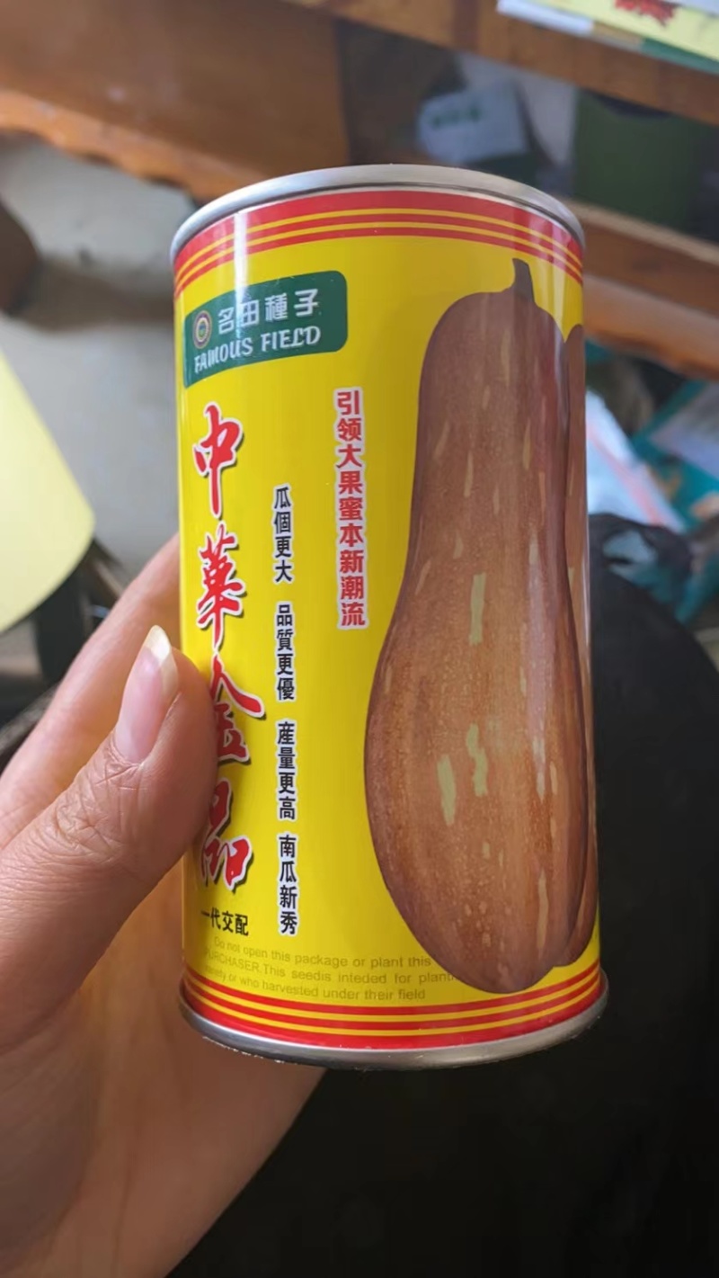 中华金品蜜本南瓜种口感瓜肉橙红色产量高亩苗350棵甜，甜