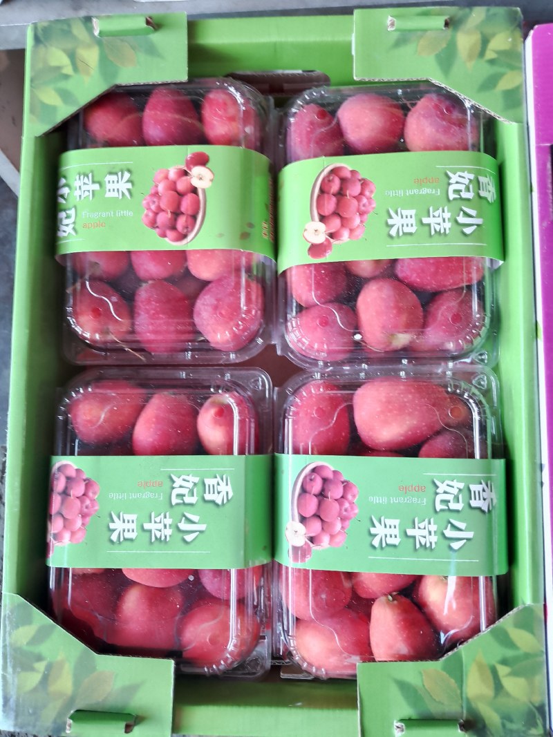 甜心小苹果