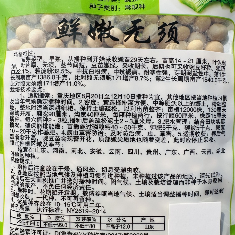 鲜嫩无须豌豆尖种子无须豆尖1号豌豆苗种子苗芽菜豌豆种子