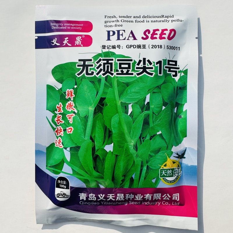 鲜嫩无须豌豆尖种子无须豆尖1号豌豆苗种子苗芽菜豌豆种子