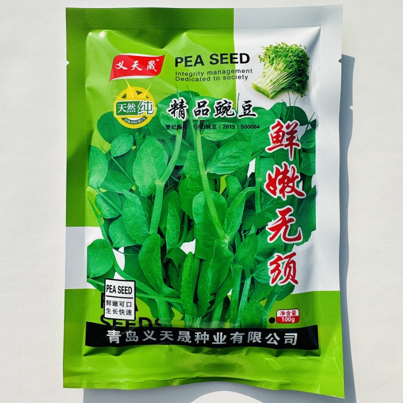 鲜嫩无须豌豆尖种子无须豆尖1号豌豆苗种子苗芽菜豌豆种子