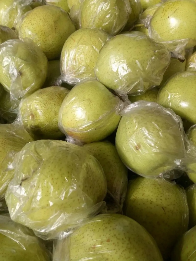 纸代膜代鸭梨大量上市，量大质优，货源充足