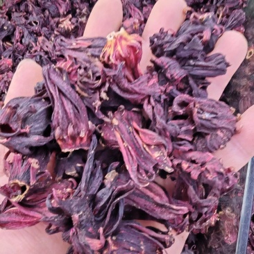 洛神花玫瑰茄洛神花干花洛神花茶大货批发