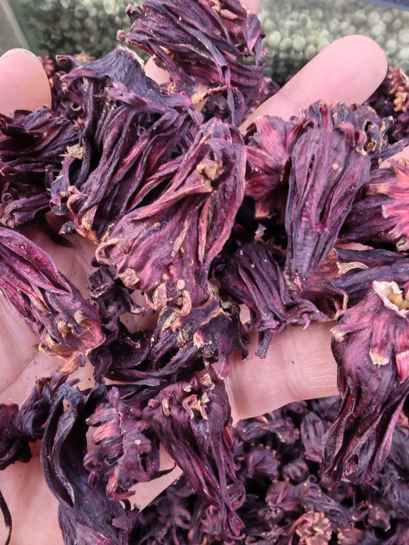 洛神花玫瑰茄洛神花干花洛神花茶大货批发
