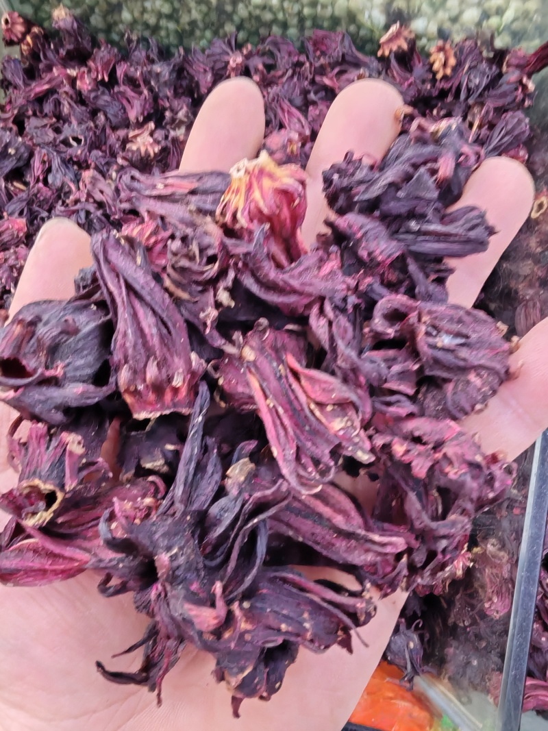 洛神花玫瑰茄洛神花干花洛神花茶大货批发