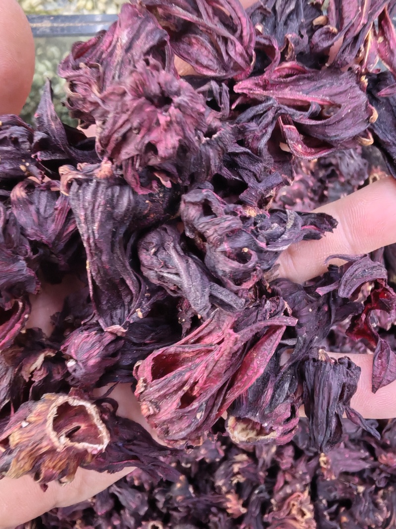 洛神花玫瑰茄洛神花干花洛神花茶大货批发