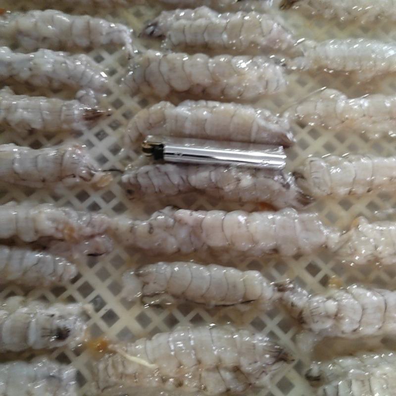 皮皮虾肉整齐，大肉，不碎