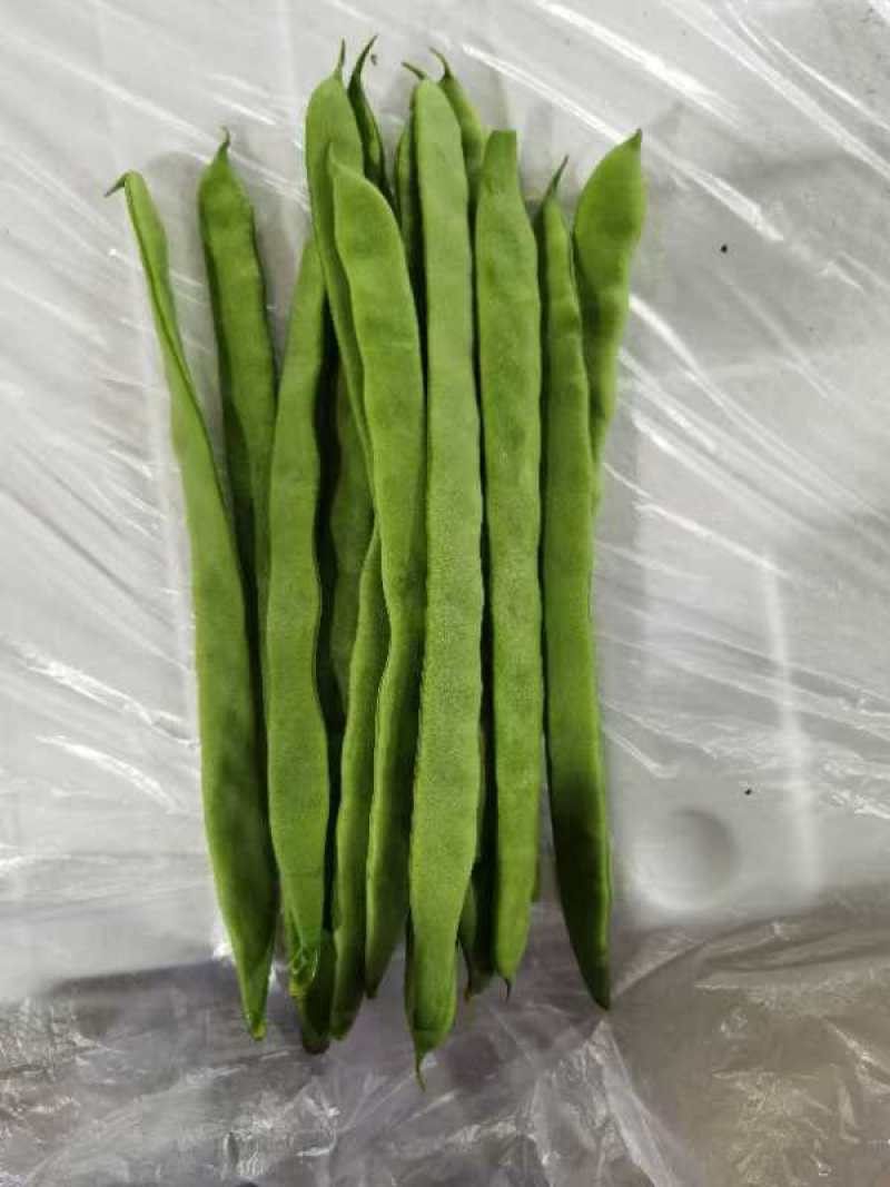 保山扁豆大量上市，商超品质，欢迎客商电话订货实地考察