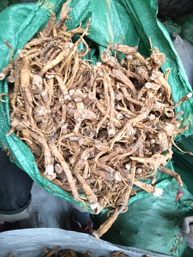 秦艽三年根大统货