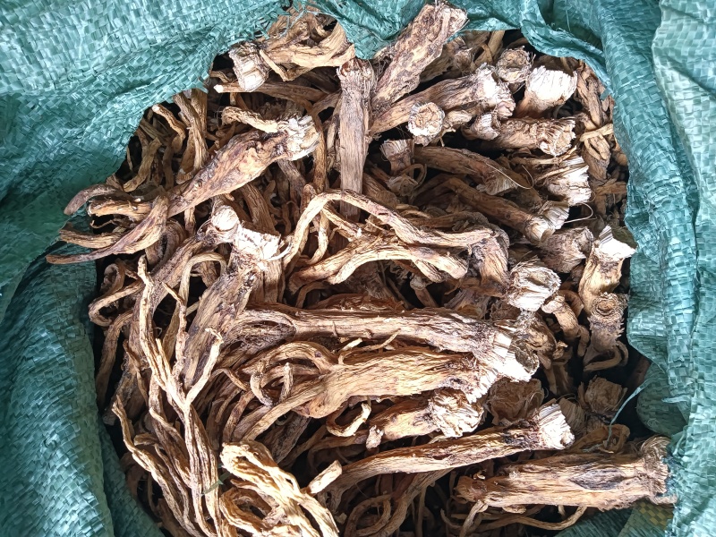 秦艽三年根大统货