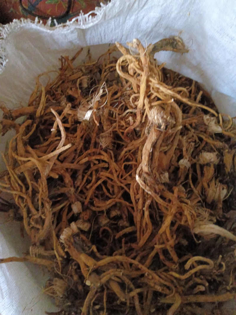 秦艽三年根大统货