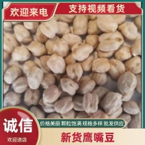 鹰嘴豆新货鹰嘴豆颗粒饱满规格多样批发供应