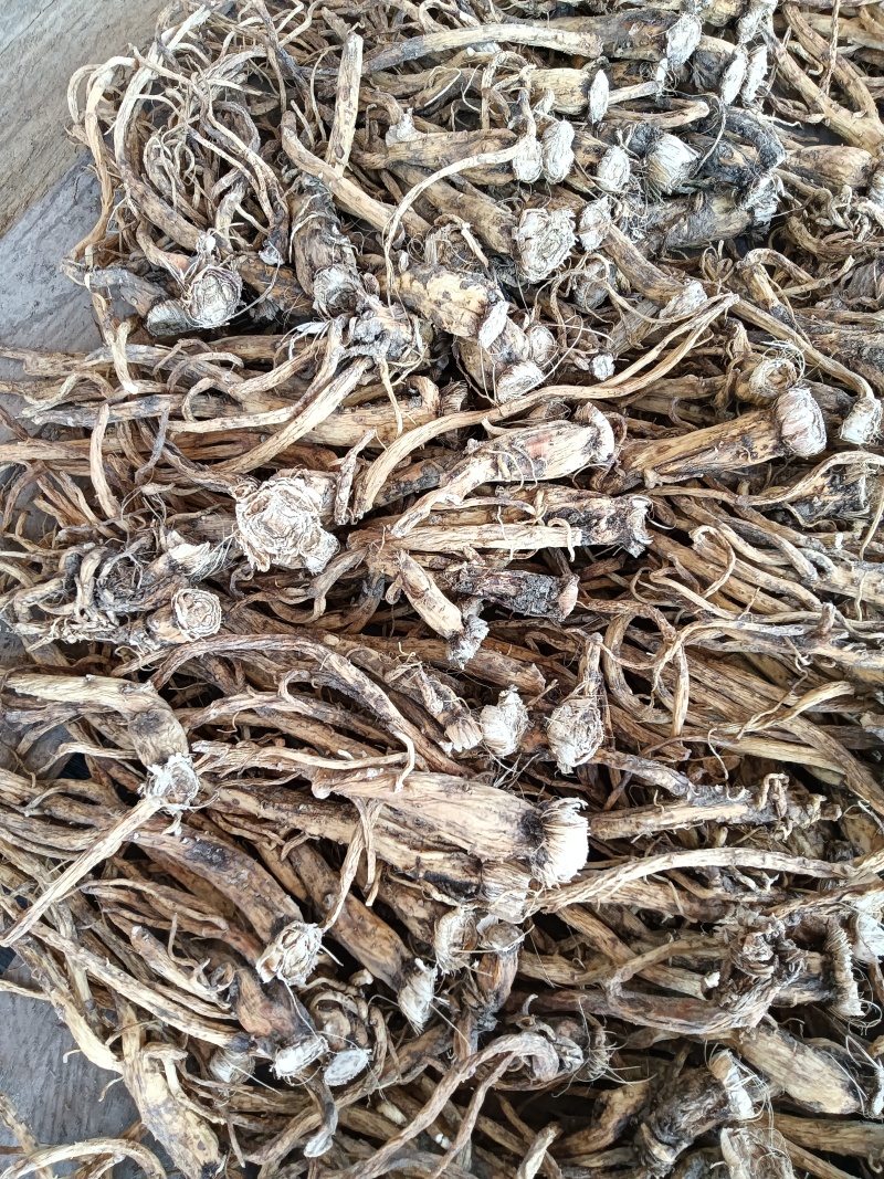 秦艽三年根大统货