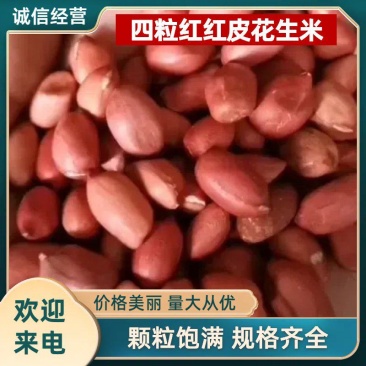 四粒红，红皮花生米，颗粒饱满，颜色红，各种规格，吉林