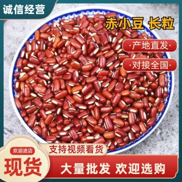 赤小豆长粒新货赤小豆大量批发欢迎选购