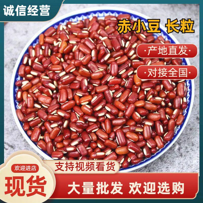 赤小豆长粒新货赤小豆大量批发欢迎选购