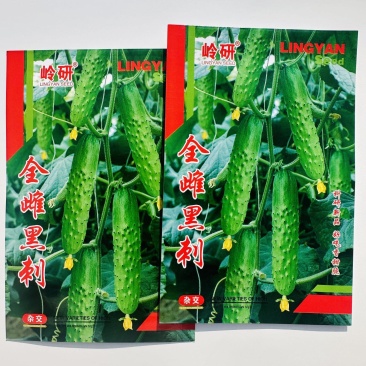 四季播种水果黄瓜节节瓜高产小黄瓜地载阳台盆栽菜籽农家黄瓜
