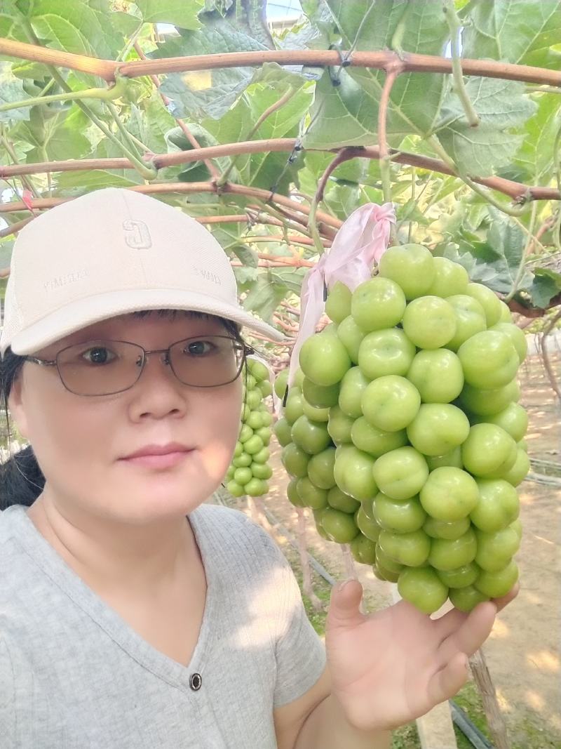阳光玫瑰葡萄：晴王葡萄，颗粒大，口感香甜
