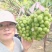 阳光玫瑰葡萄：晴王葡萄，颗粒大，口感香甜