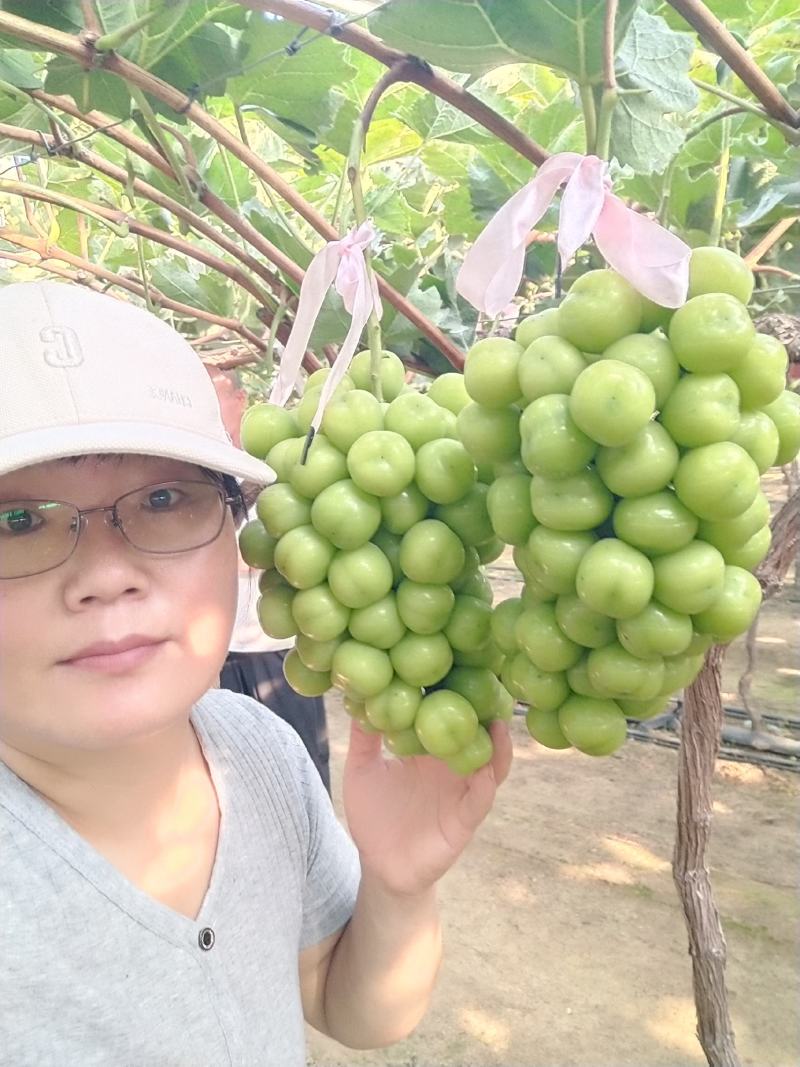 阳光玫瑰葡萄：晴王葡萄，颗粒大，口感香甜