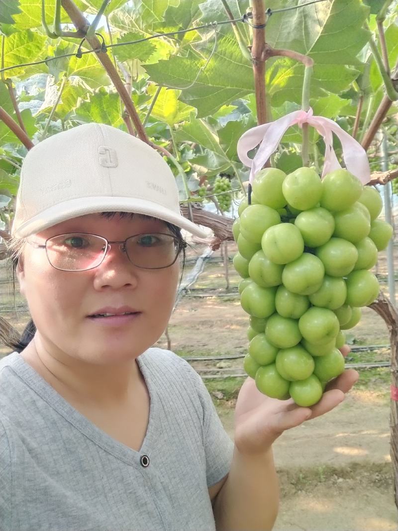 阳光玫瑰葡萄：晴王葡萄，颗粒大，口感香甜