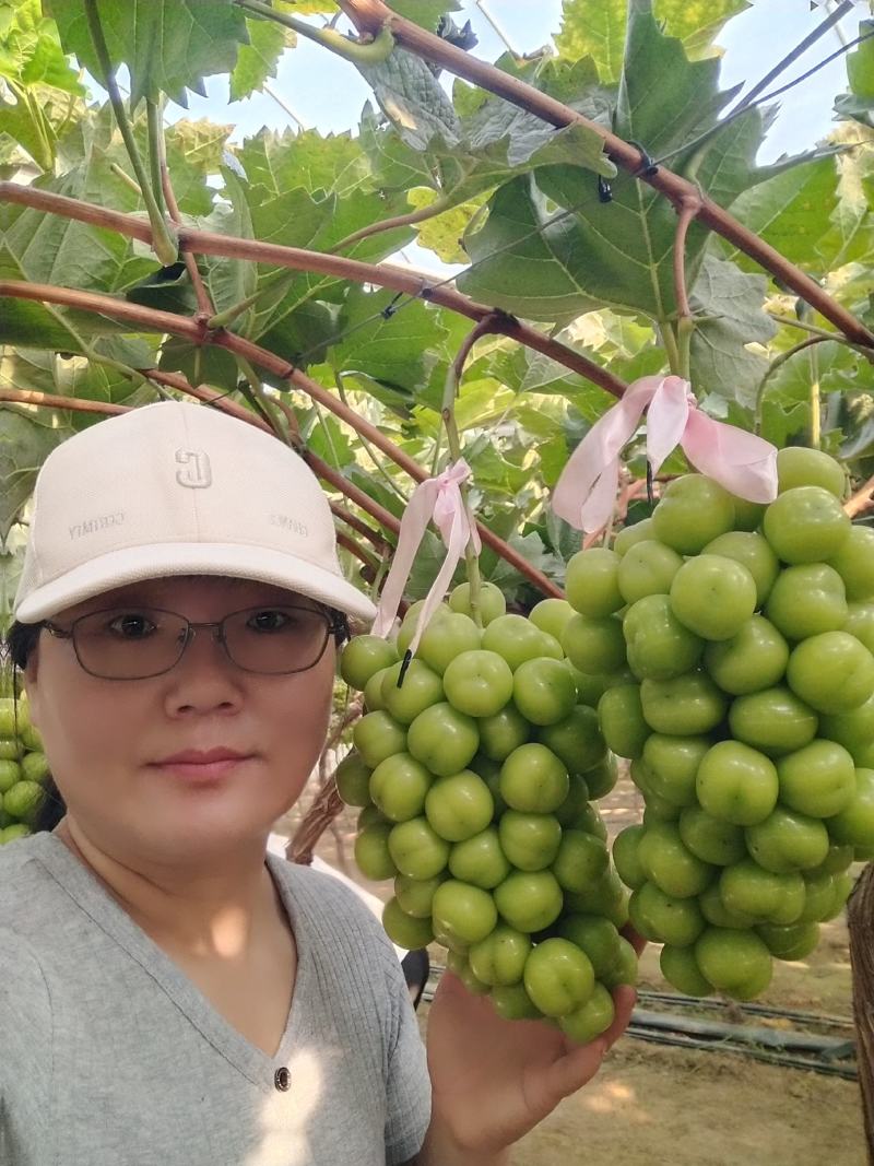 阳光玫瑰葡萄：晴王葡萄，颗粒大，口感香甜
