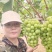 阳光玫瑰葡萄：晴王葡萄，颗粒大，口感香甜