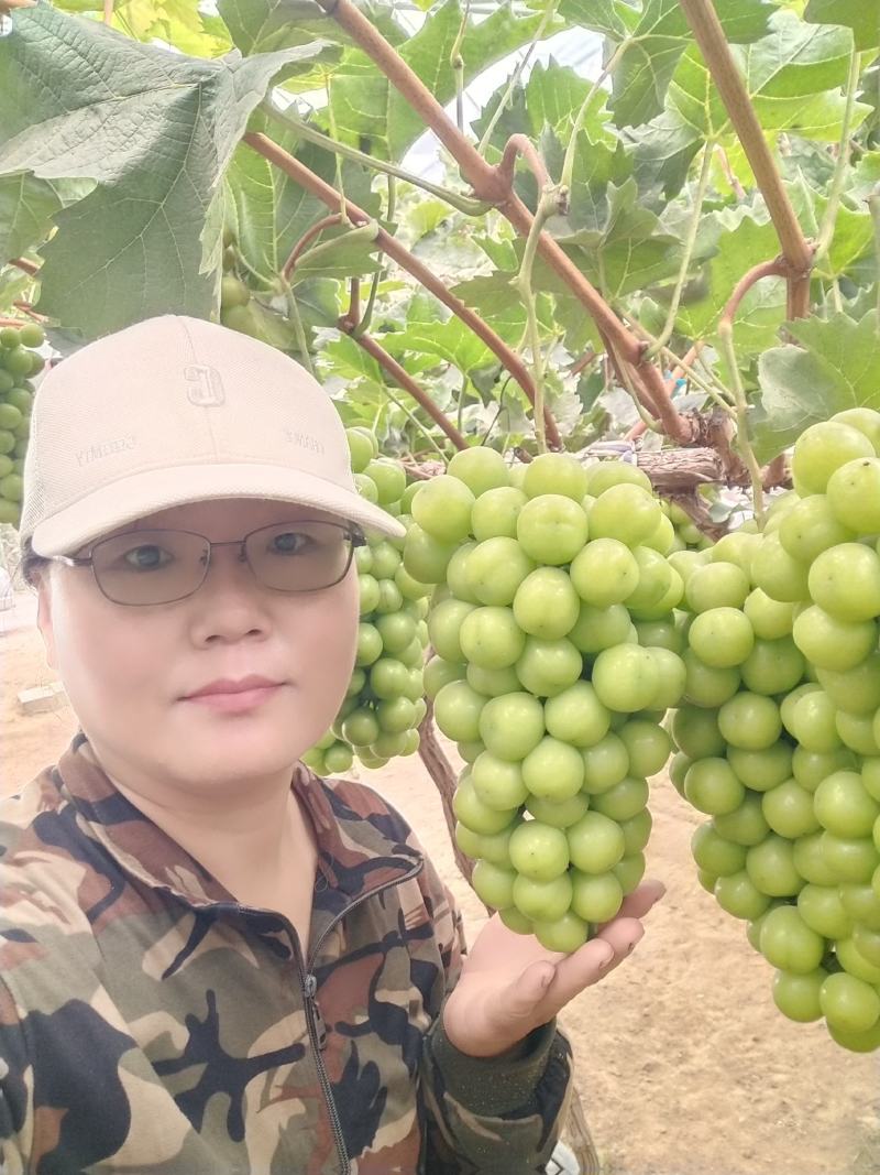 阳光玫瑰葡萄：晴王葡萄，颗粒大，口感香甜