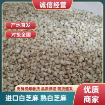 白芝麻，进口白芝麻，熟白芝麻。量大从优，