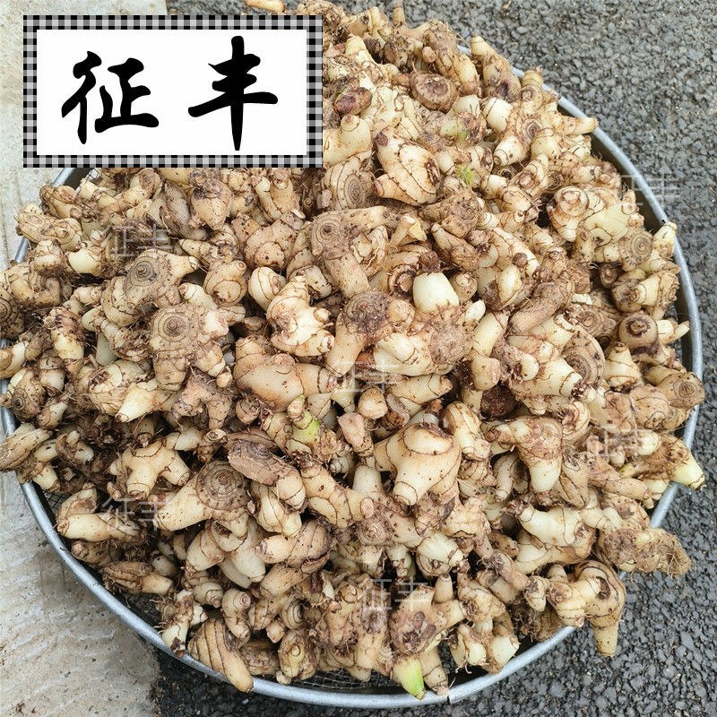 正宗贵州深山野生白芨个、片、粉无硫精选白芨