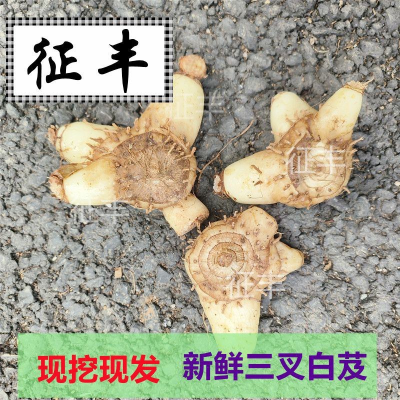 正宗贵州深山野生白芨个、片、粉无硫精选白芨