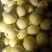 河北青京白梨个大果甜保质保量大量出货欢迎咨询