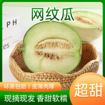 网纹玫珑瓜电商一件代发全网直供对接各平台电商省时