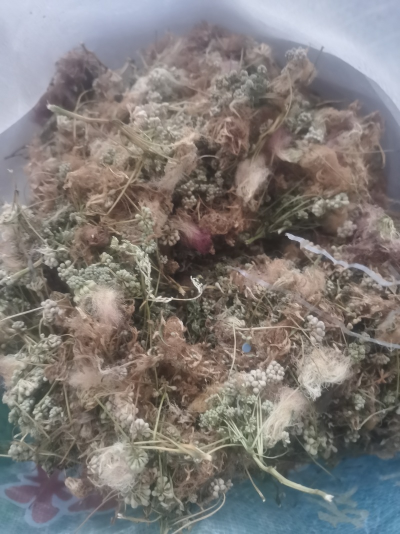 合欢花