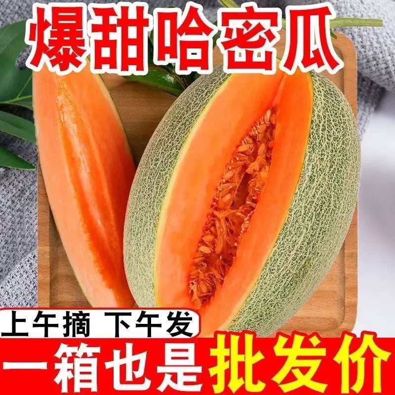 哈密瓜电商一件代发产地直供对接各平台电商