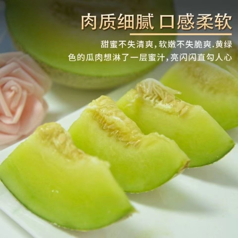 哈密瓜电商一件代发产地直供对接各平台电商