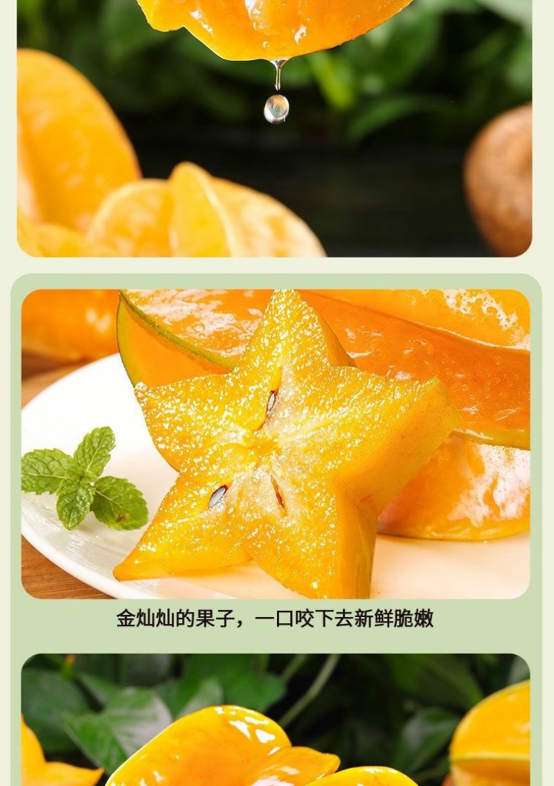 正宗福建漳州下河当季水果(新鲜杨桃)酸甜可口当天现摘现发
