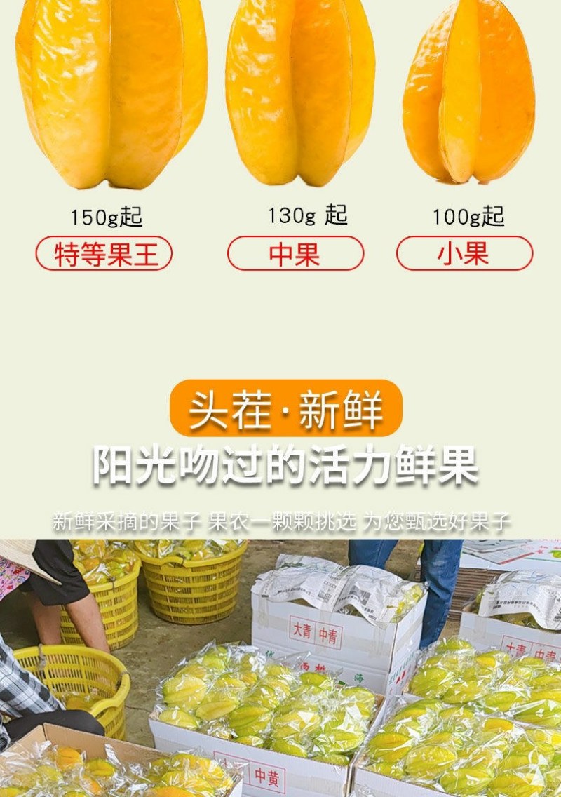 正宗福建漳州下河当季水果(新鲜杨桃)酸甜可口当天现摘现发