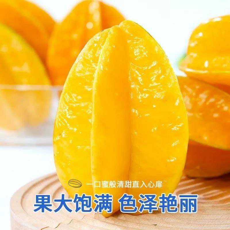 正宗福建漳州下河当季水果(新鲜杨桃)酸甜可口当天现摘现发